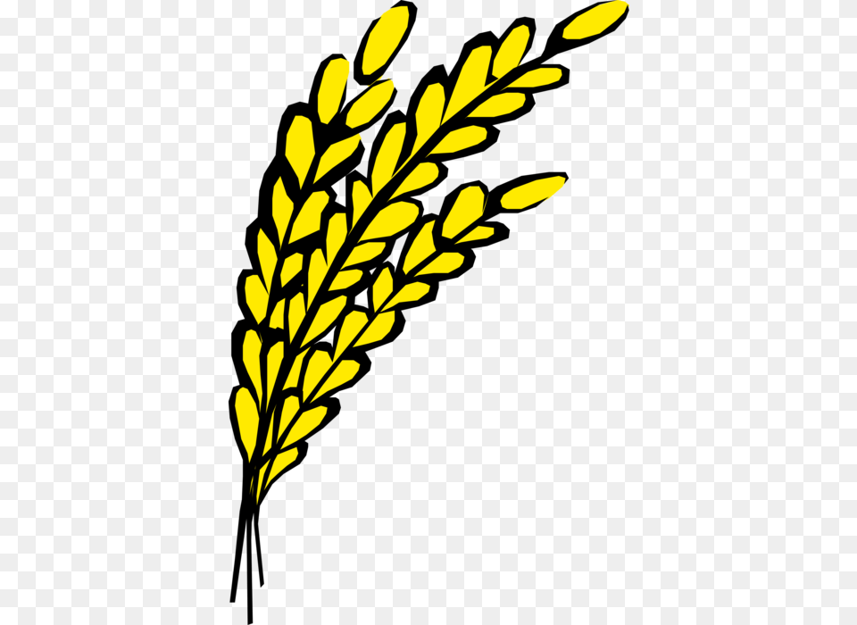 Vector Illustration Of Wheat Grain Of Cereal Grass Oats Clipart, Art, Floral Design, Graphics, Green Png