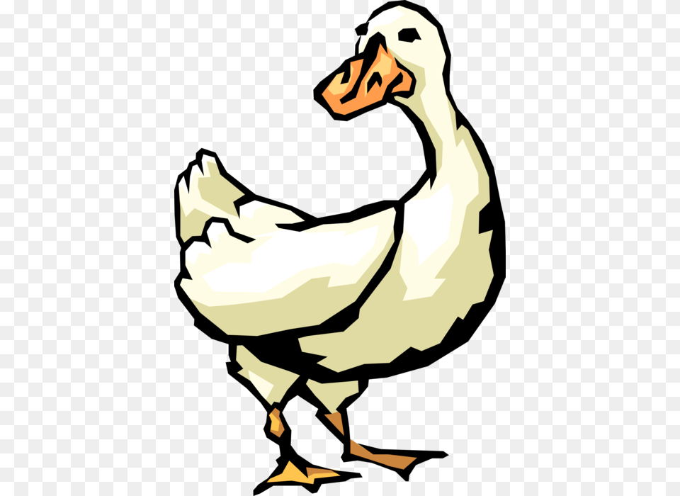Vector Illustration Of White Waterfowl Duck Bird, Animal, Beak, Goose, Adult Free Png Download