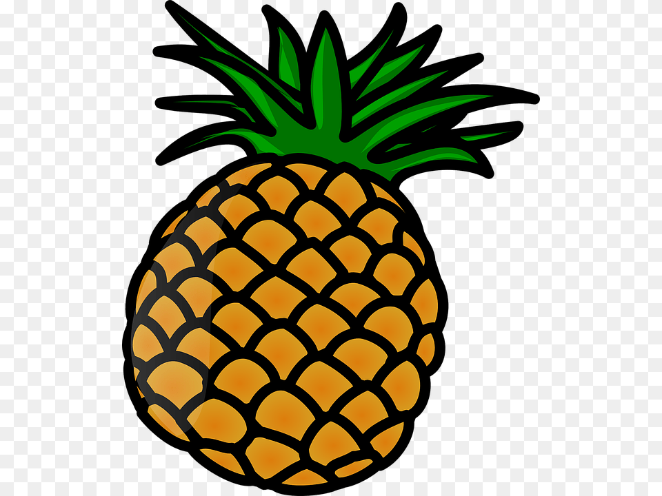 Vector Image, Food, Fruit, Pineapple, Plant Free Transparent Png