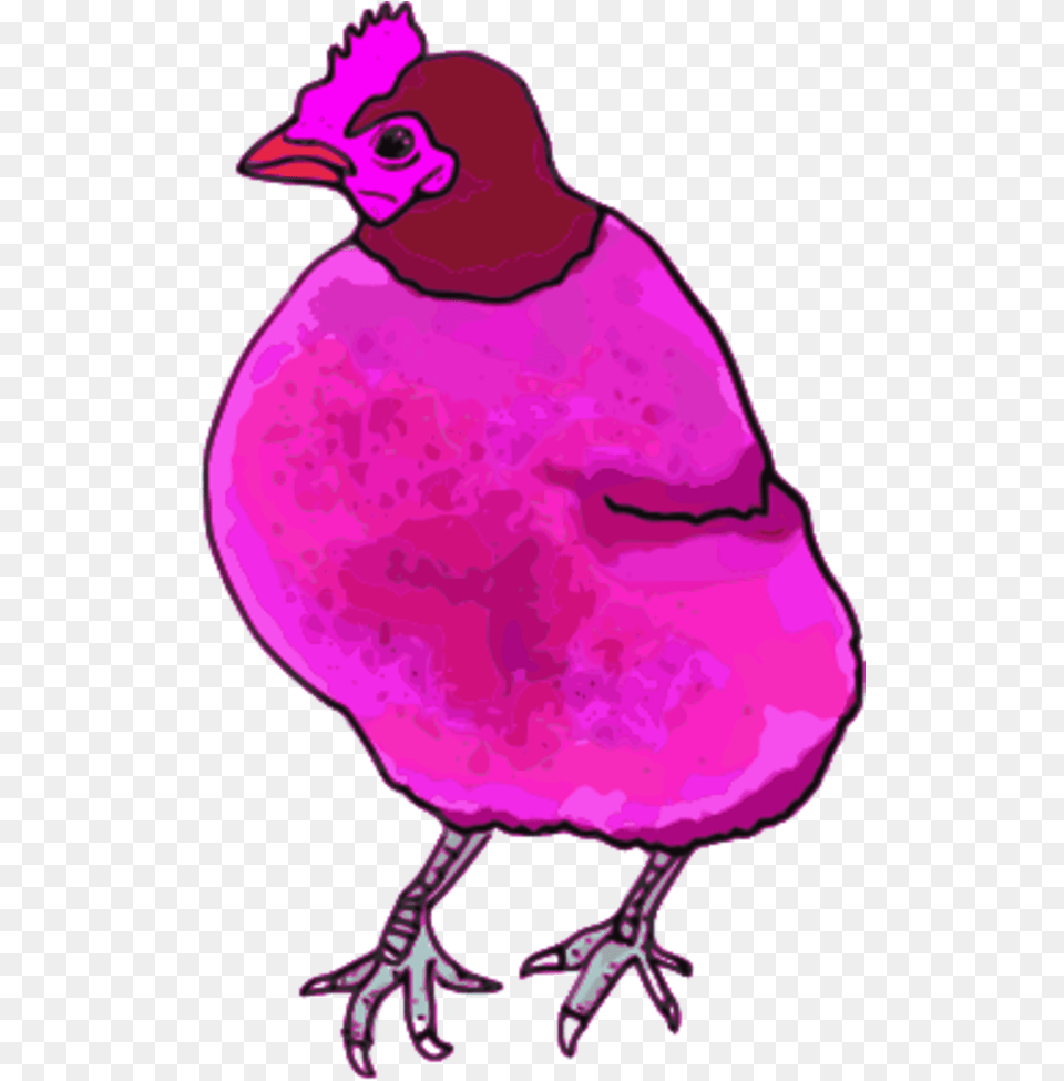 Vector Image Download Clipart Pink Chicken Clipart, Animal, Beak, Bird, Person Free Png
