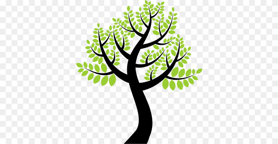 Vector Image Of High Tree, Green, Moss, Leaf, Plant Free Transparent Png