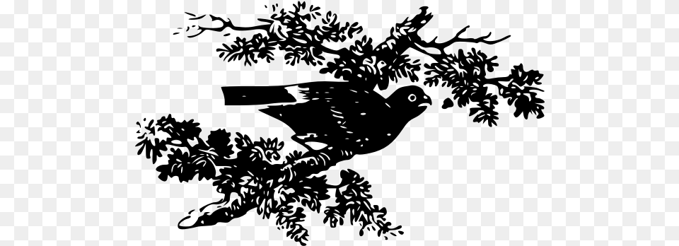 Vector Image Of Pigeon On A Tree Branch Clip Art, Gray Free Png