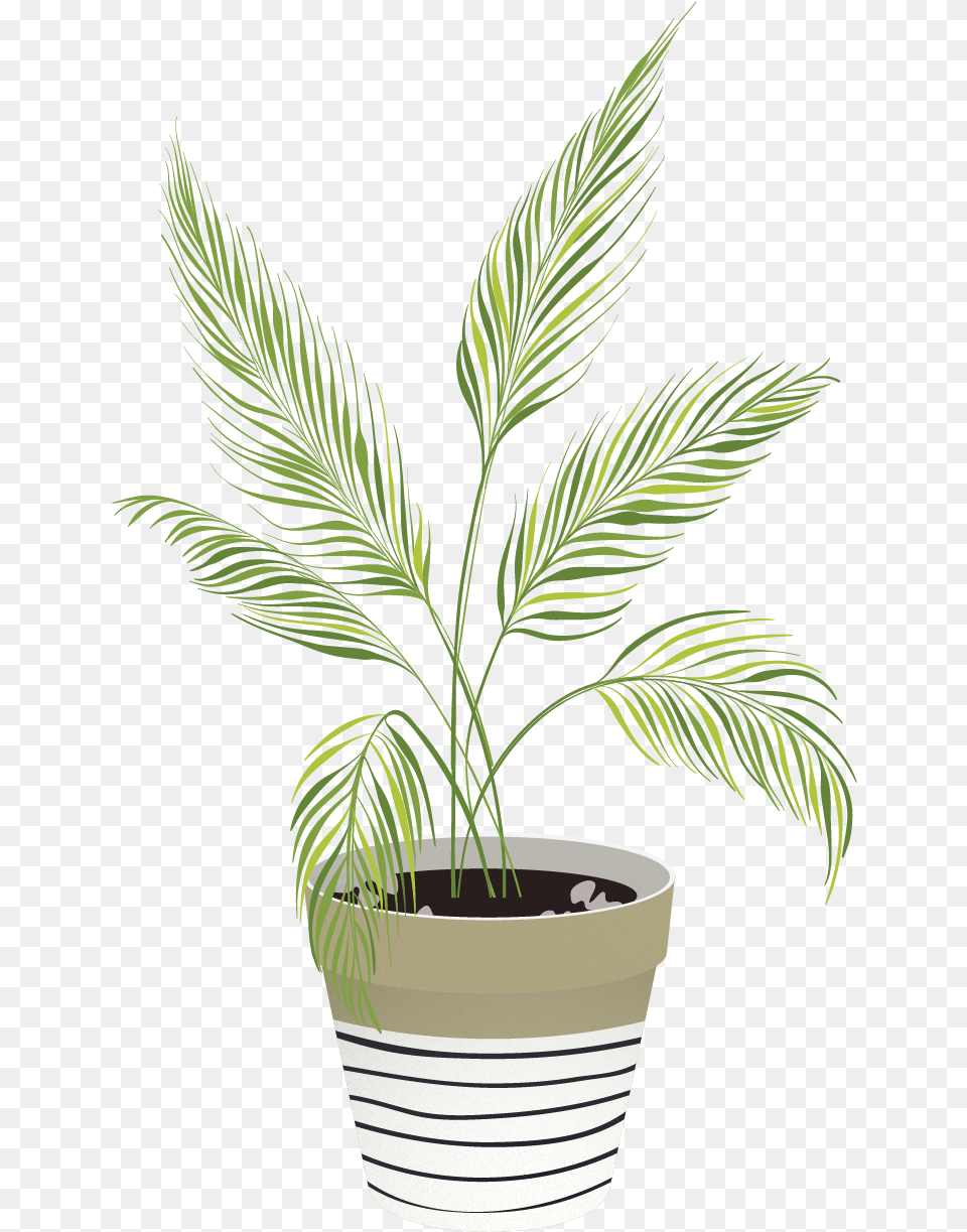 Vector Indoor Plants Houseplant, Jar, Leaf, Palm Tree, Plant Free Png Download
