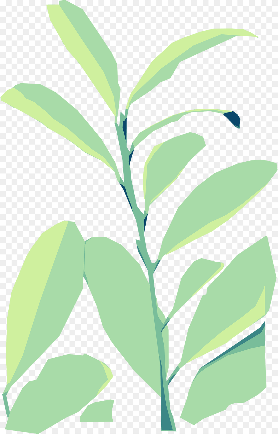 Vector Leaves Clipart, Leaf, Plant, Herbal, Herbs Free Transparent Png