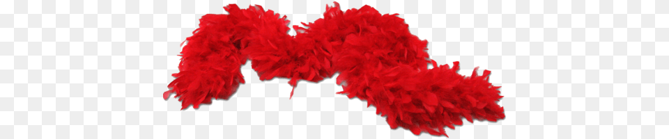 Vector Library Boas Balaji Exports Exporter In Faridabad Transparent Red Feather, Accessories, Feather Boa Free Png Download