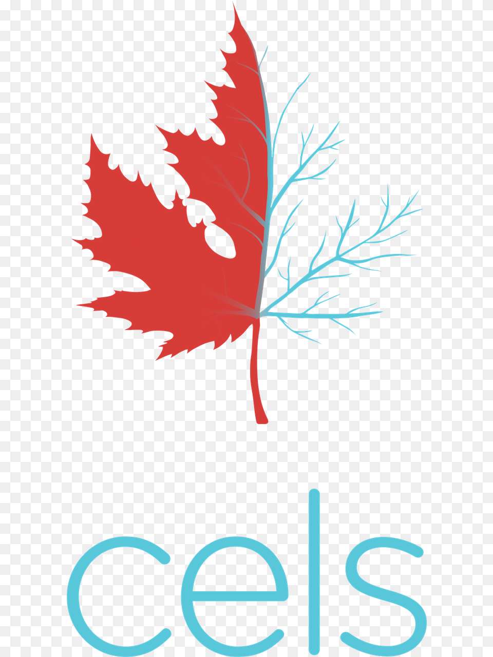 Vector Maple Leaf Silhouette, Plant, Tree, Person, Face Free Png Download