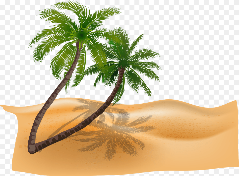 Vector Material Plant Coconut Trees Beach Beach Beach Coconut Tree, Palm Tree, Nature, Outdoors, Summer Png
