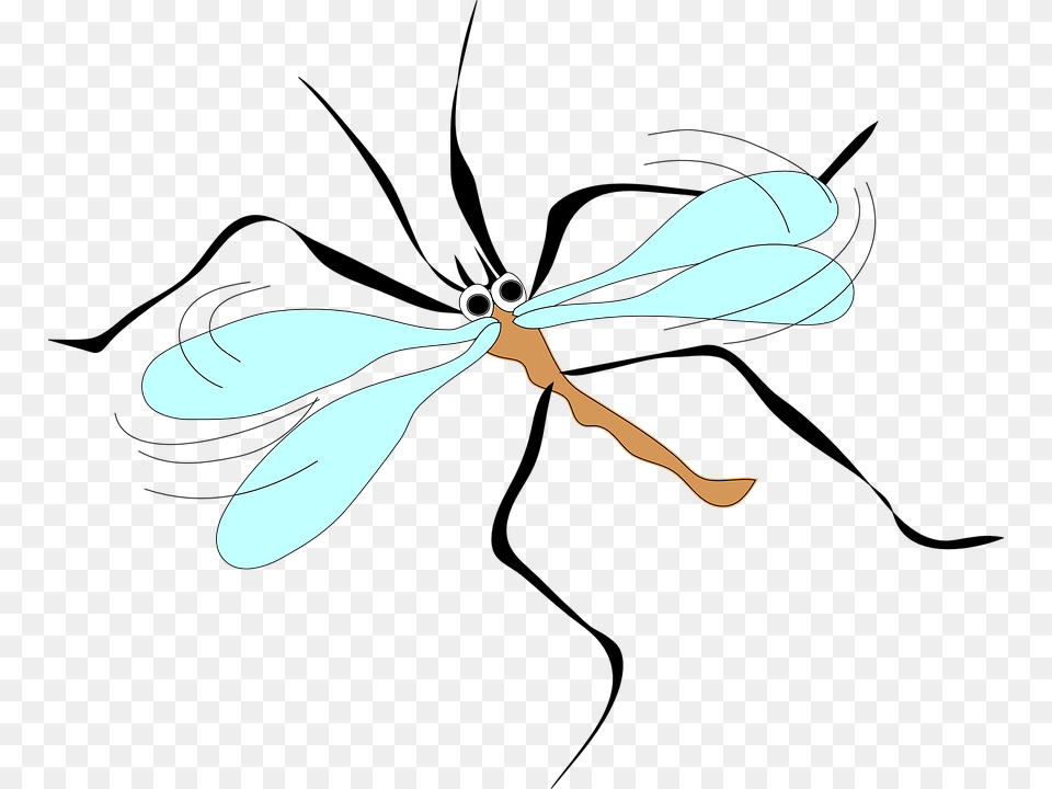 Vector Moschito Stecchito Clip Art Mosquito Clip Art, Animal, Dragonfly, Insect, Invertebrate Free Transparent Png