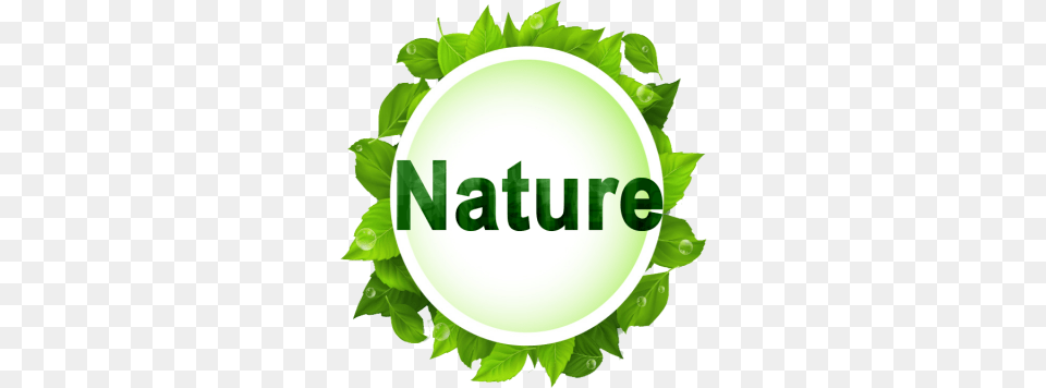 Vector Nature Green Leaf Vector, Herbal, Plant, Herbs, Logo Free Png Download