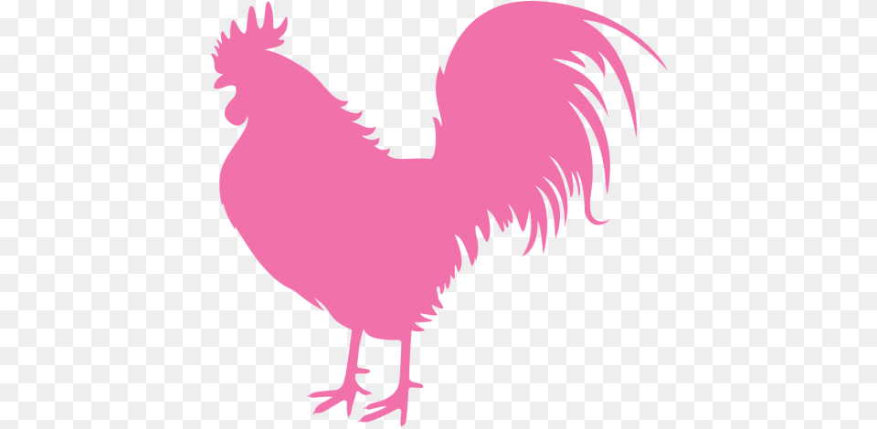 Vector Newspaper Mocap Public Domain Image Freeimg Pink Rooster Clip Art, Animal, Bird, Fowl, Poultry Free Png