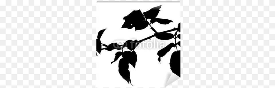 Vector Of A Tree Branch Silhouette Wall Mural Tree Branch Silhouette, Leaf, Plant, Stencil, People Free Png