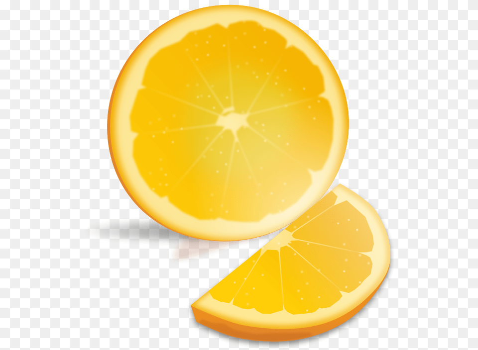 Vector Orange Slice Orange Slice Clipart Transparent, Citrus Fruit, Plant, Lemon, Produce Png
