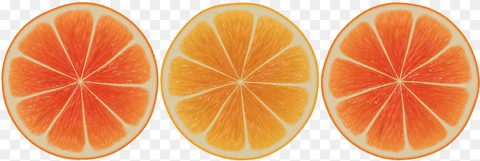 Vector Orange Slices Slice, Citrus Fruit, Food, Fruit, Grapefruit Free Png Download