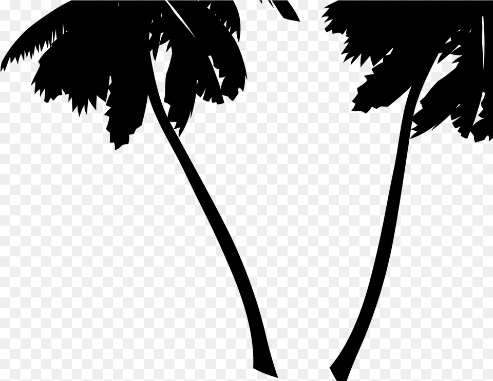 Vector Palm Tree, Gray Png Image