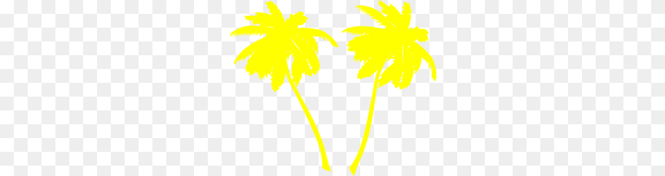 Vector Palm Trees Clip Art, Daffodil, Flower, Petal, Plant Free Png Download