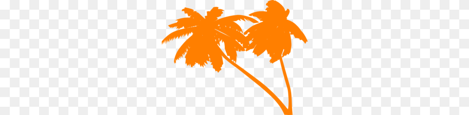 Vector Palm Trees Clip Art, Daisy, Flower, Leaf, Plant Free Png Download