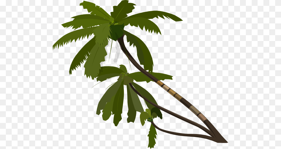 Vector Palm Trees Clip Art, Leaf, Palm Tree, Plant, Tree Free Transparent Png
