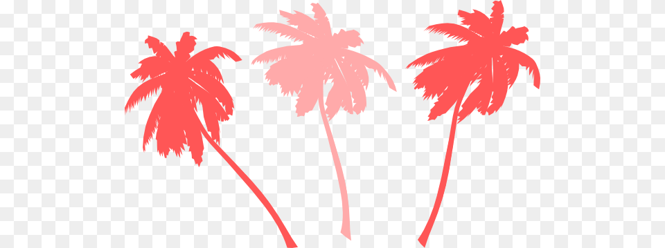 Vector Palm Trees Clip Art For Web, Palm Tree, Plant, Tree, Nature Png Image