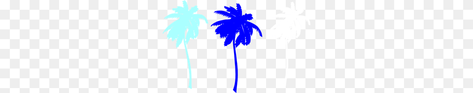 Vector Palm Trees Clip Art For Web, Palm Tree, Tree, Plant, Person Png Image