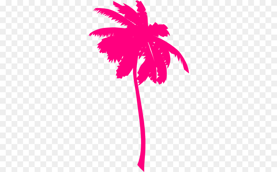 Vector Palm Trees Clip Art Palm Tree Pink Vector, Plant, Leaf, Palm Tree, Flower Png