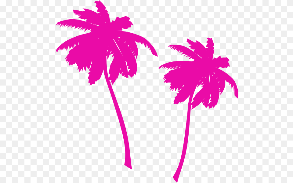 Vector Palm Trees Clip Art Vector Clip Art Transparent Palm Tree Vector, Leaf, Palm Tree, Plant, Purple Png Image