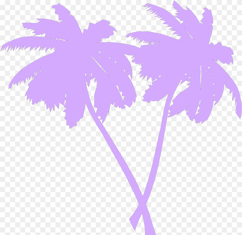 Vector Palm Trees Svg Clip Art Vector Palm Tree, Palm Tree, Leaf, Plant, Vegetation Png