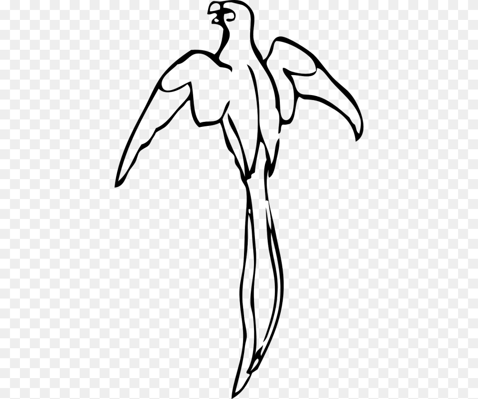 Vector Parrot Black And White Outline Of A Parrot, Gray Free Png Download