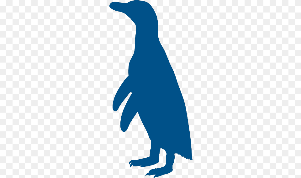 Vector Penguin Galapagos Conservation Trust, Animal, Bird, Fish, Sea Life Free Transparent Png