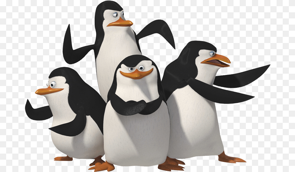 Vector Penguins Of Madagascar, Animal, Bird, Penguin Png Image