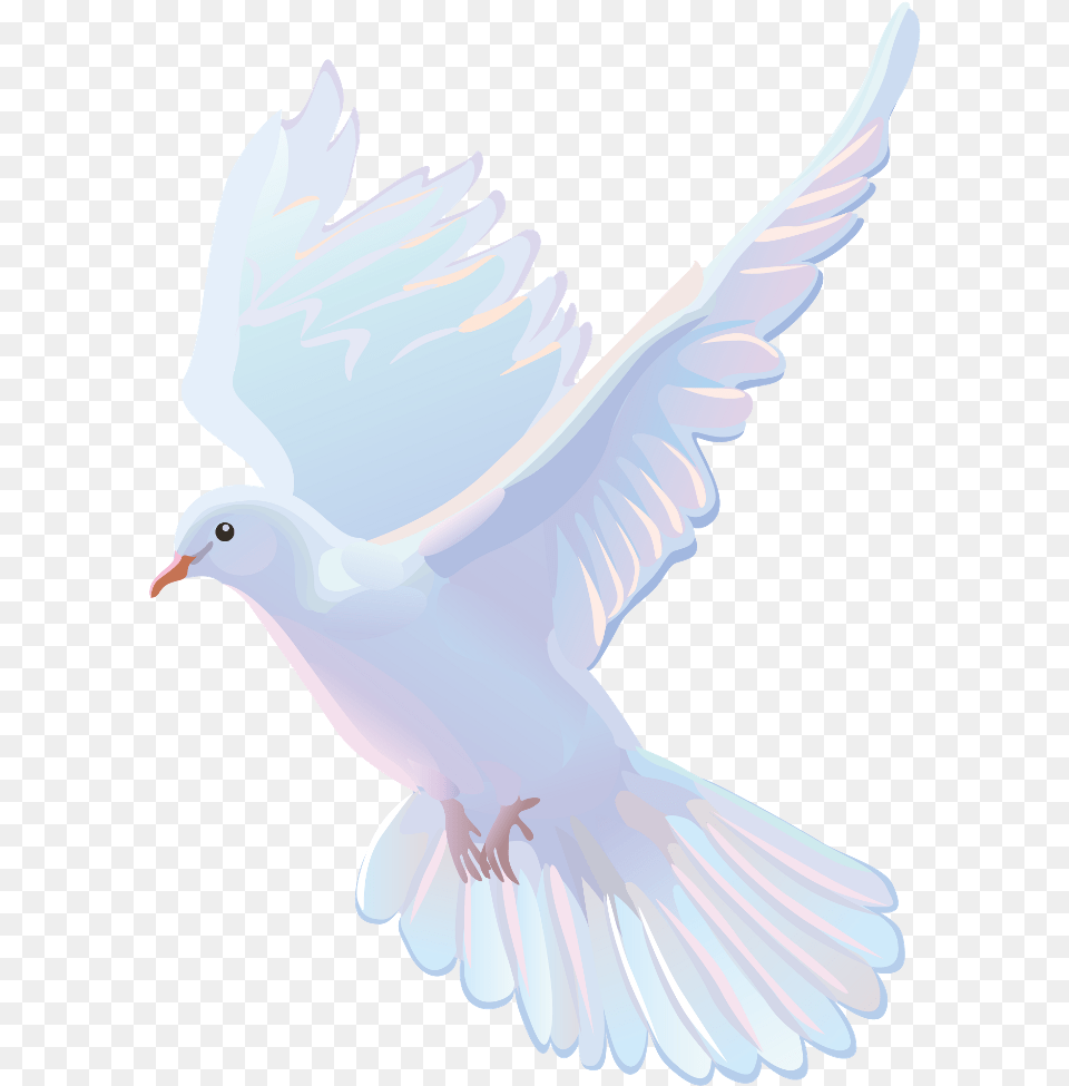 Vector Pigeons And Doves, Animal, Bird, Dove, Pigeon Free Png Download