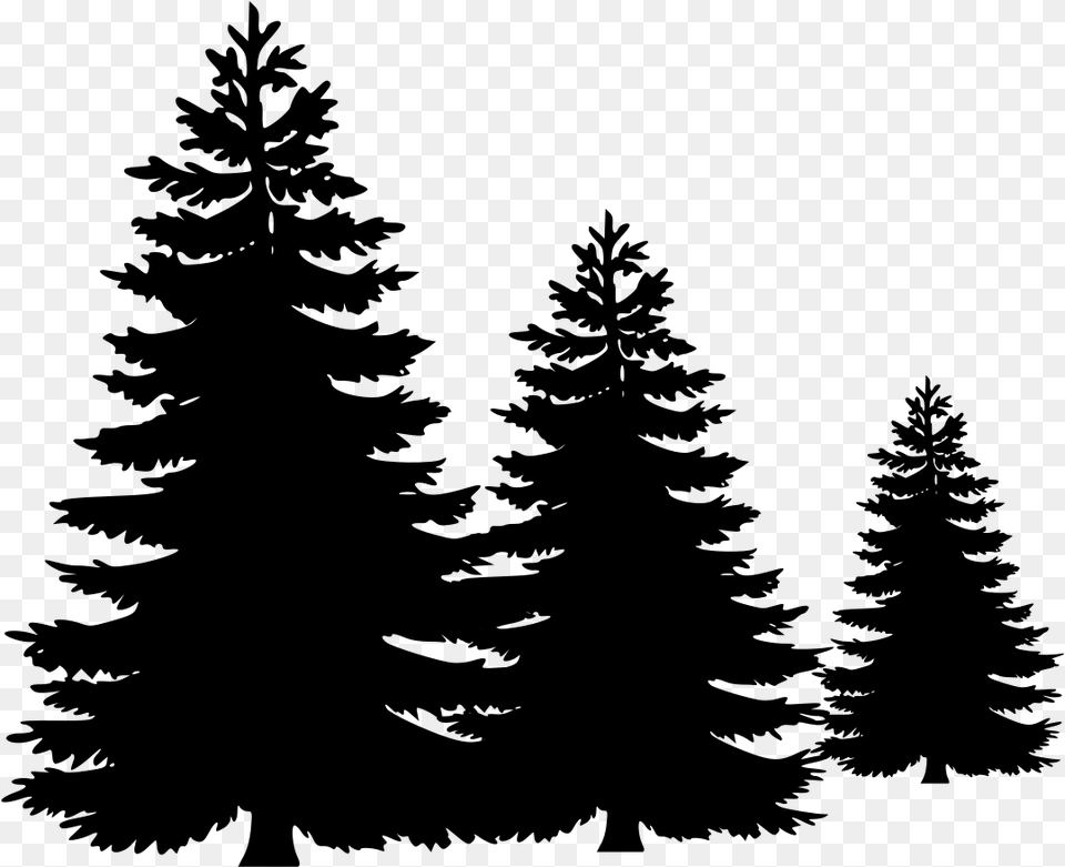 Vector Pine Tree, Gray Free Png Download
