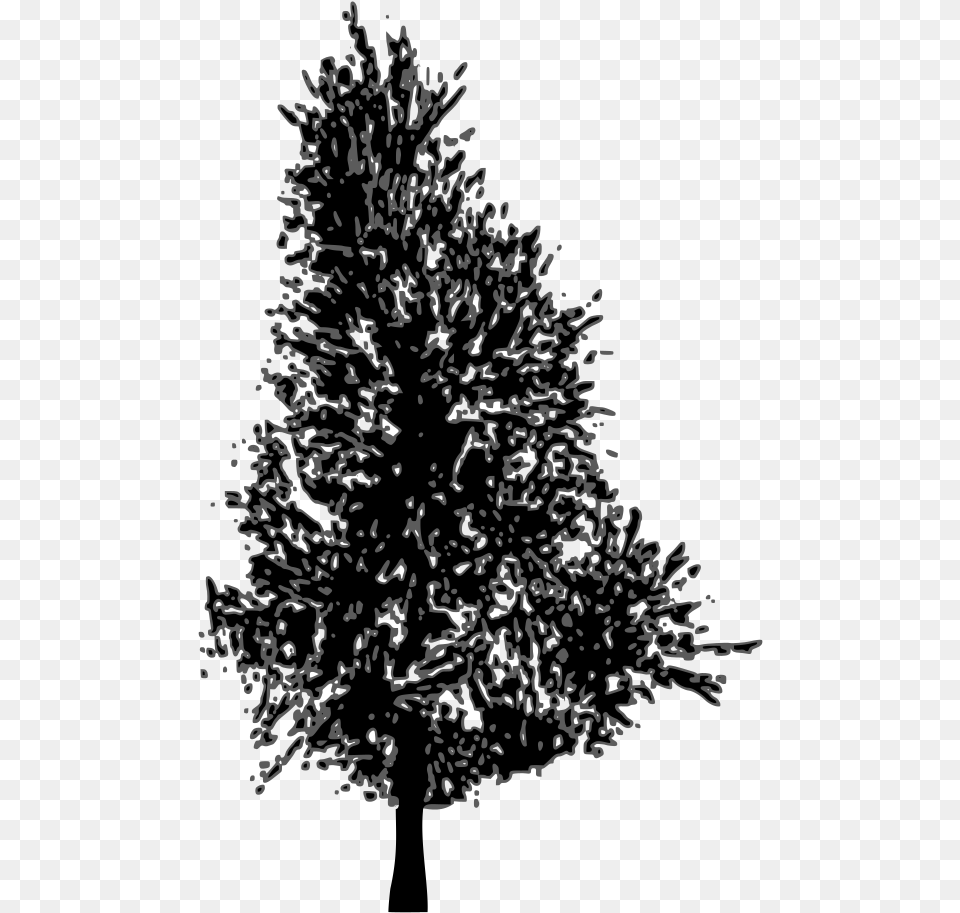 Vector Pine Tree Pine Tree Cliparts Silhouette, Art, Christmas, Christmas Decorations, Festival Free Transparent Png