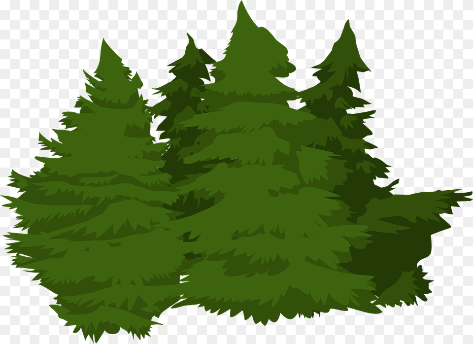 Vector Pine Trees 17 Buy Clip Art Hutan Pinus, Fir, Green, Plant, Tree Free Png Download