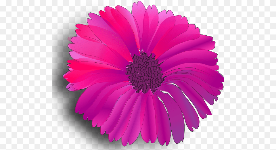 Vector Pink Flower Clip Art Pink Flower Clip Art, Dahlia, Daisy, Petal, Plant Free Png
