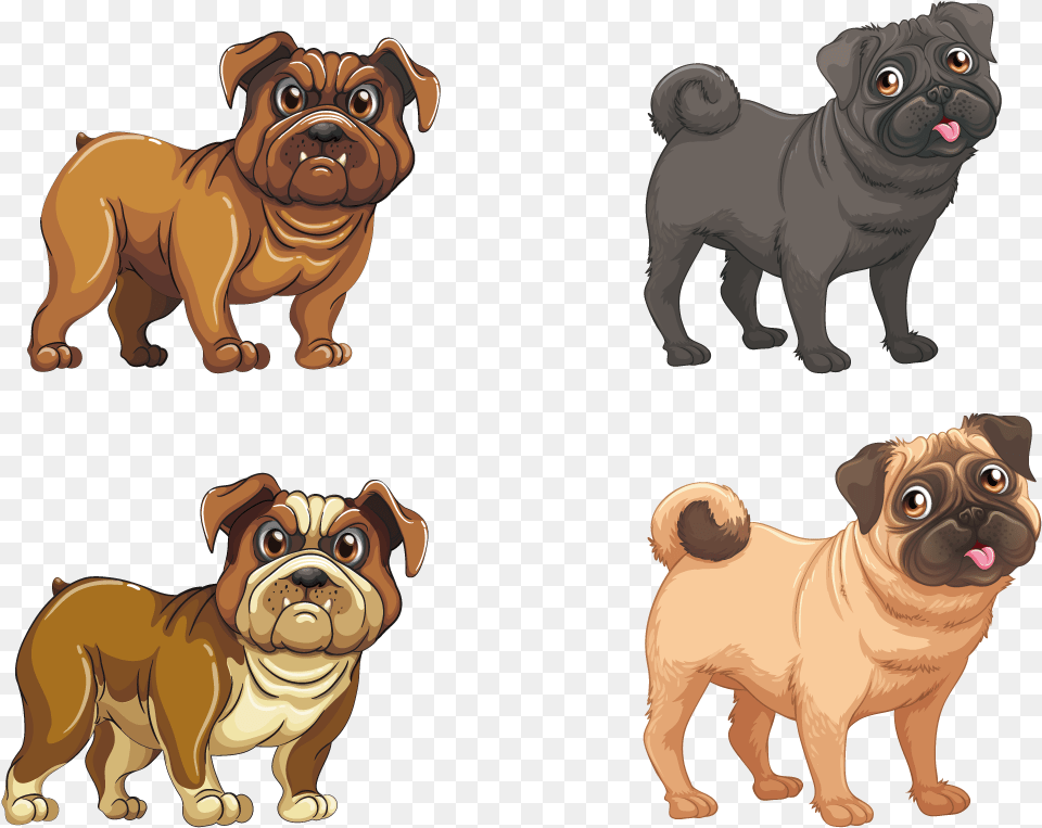 Vector Pugs Download Pug Vector, Animal, Canine, Lion, Mammal Free Png