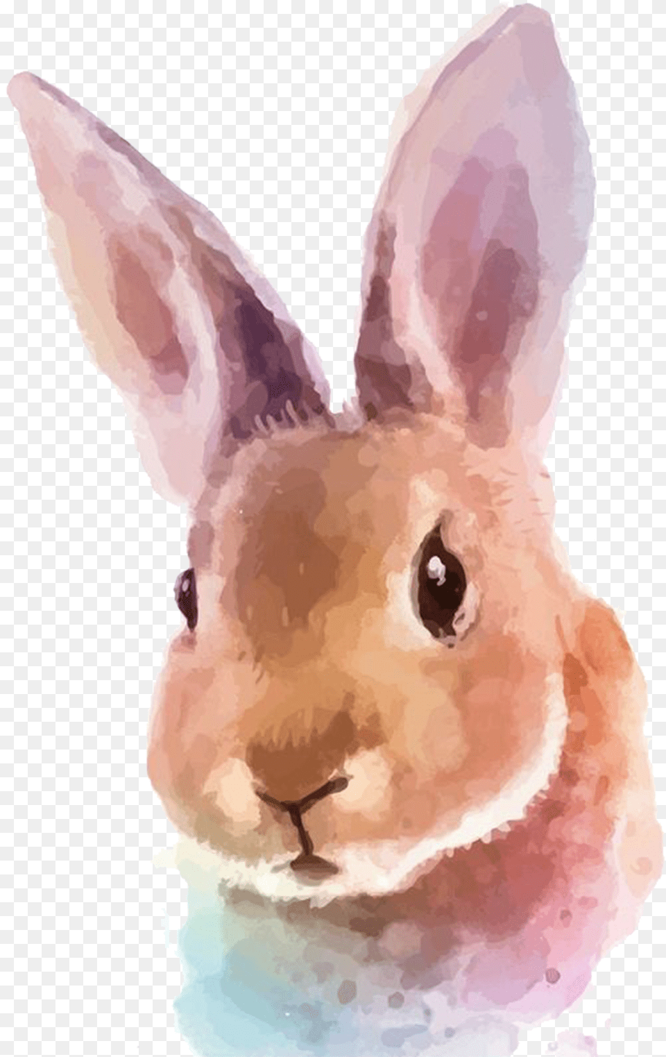 Vector Rabbit Watercolor Easter Rabbits In Watercolours, Animal, Mammal, Baby, Person Png Image