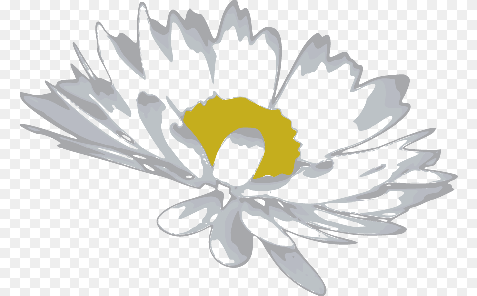 Vector Random Vectors Part Camomile Flower Vector, Daisy, Plant, Petal, Anther Png