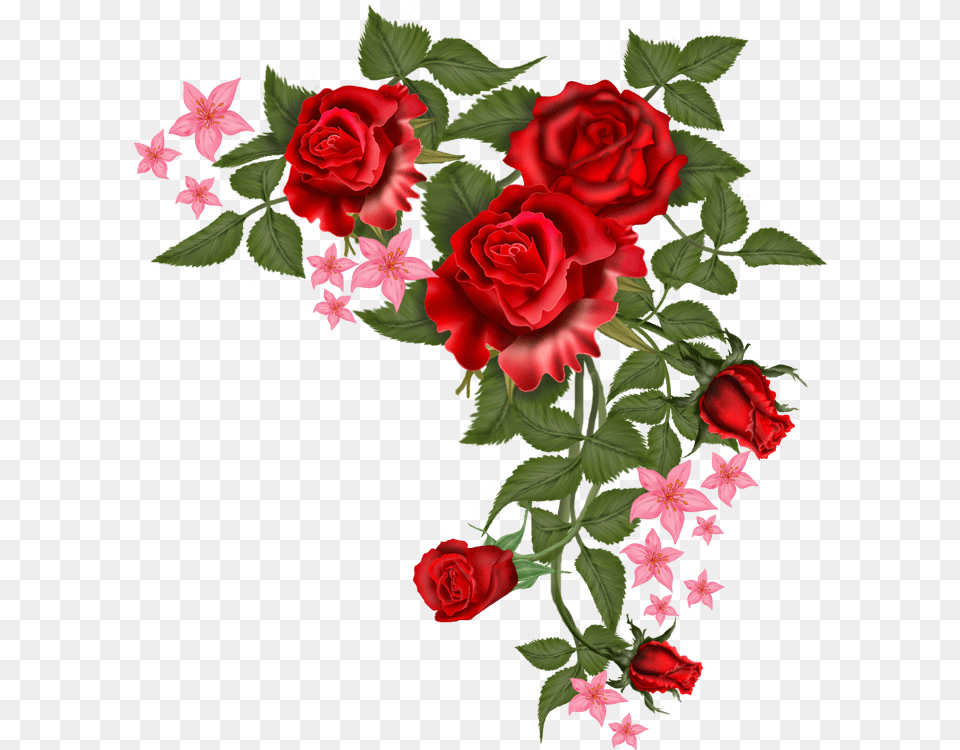 Vector Red Flower, Art, Floral Design, Graphics, Pattern Png Image