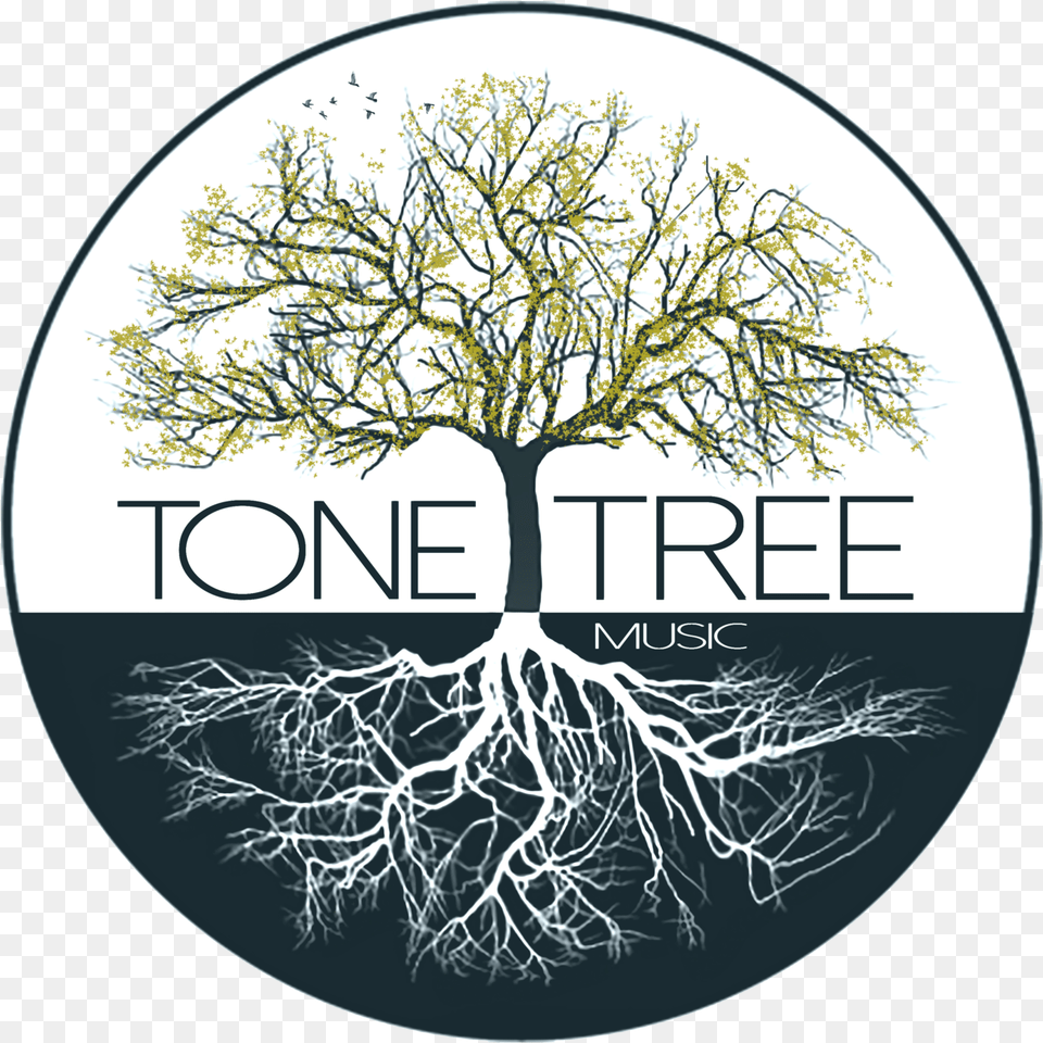Vector Root Music Tree And Music, Plant Free Png