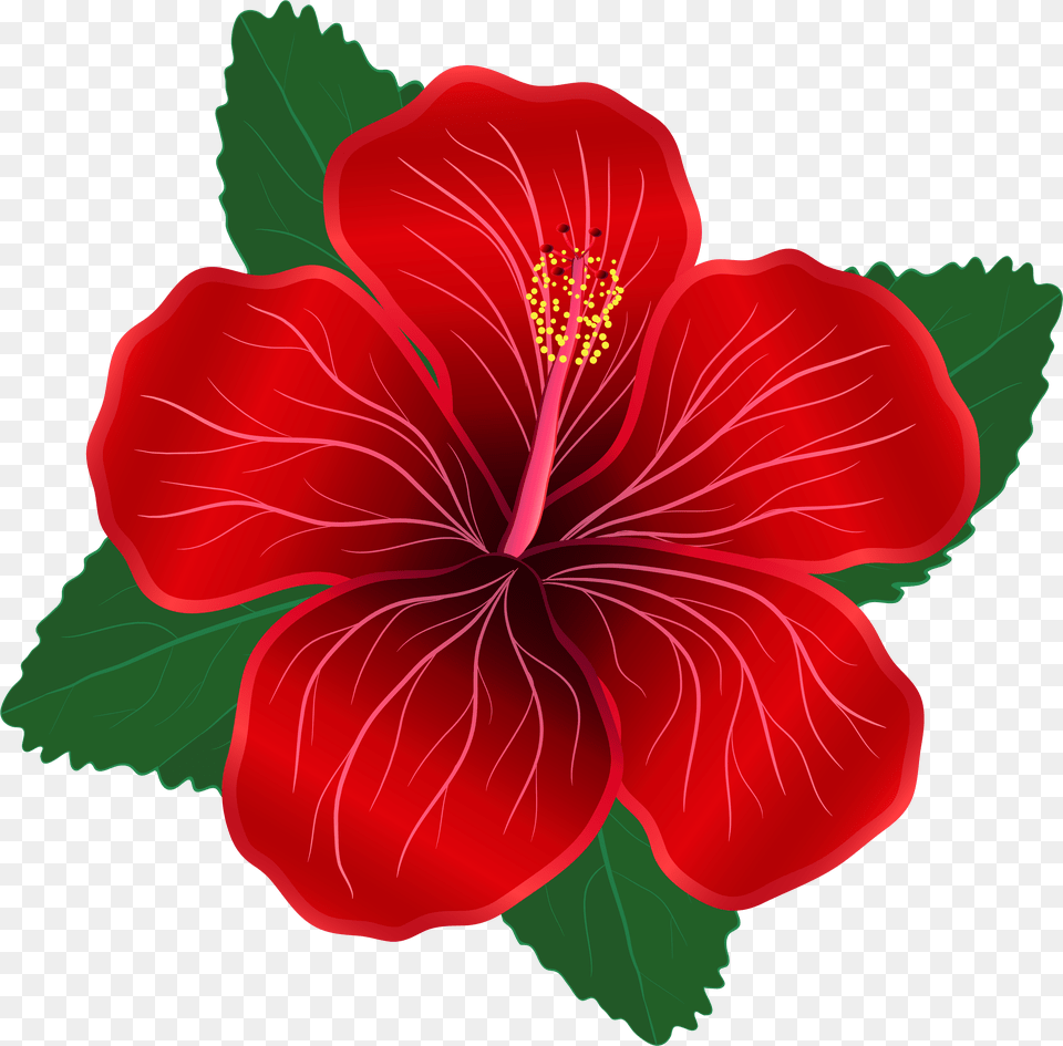 Vector Royalty Flower Image Clip Art Red Flower Clipart, Adult, Person, People, Woman Free Transparent Png