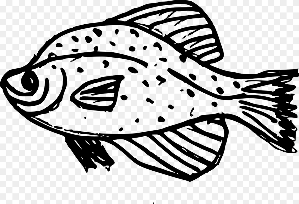 Vector Royalty Fish Onlygfx Com Drawing, Gray Free Transparent Png