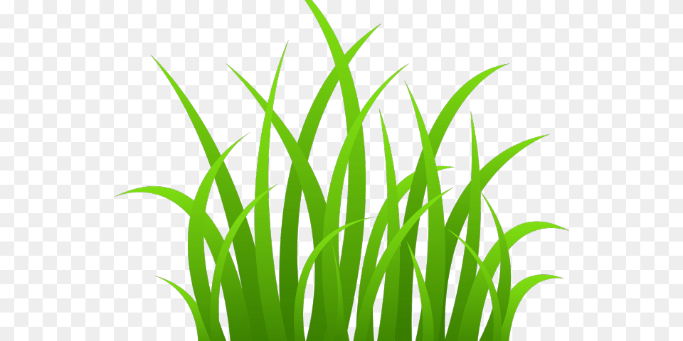 Vector Royalty Library Dry Grass Dray On Grass Clipart, Green, Plant, Vegetation, Aquatic Free Png