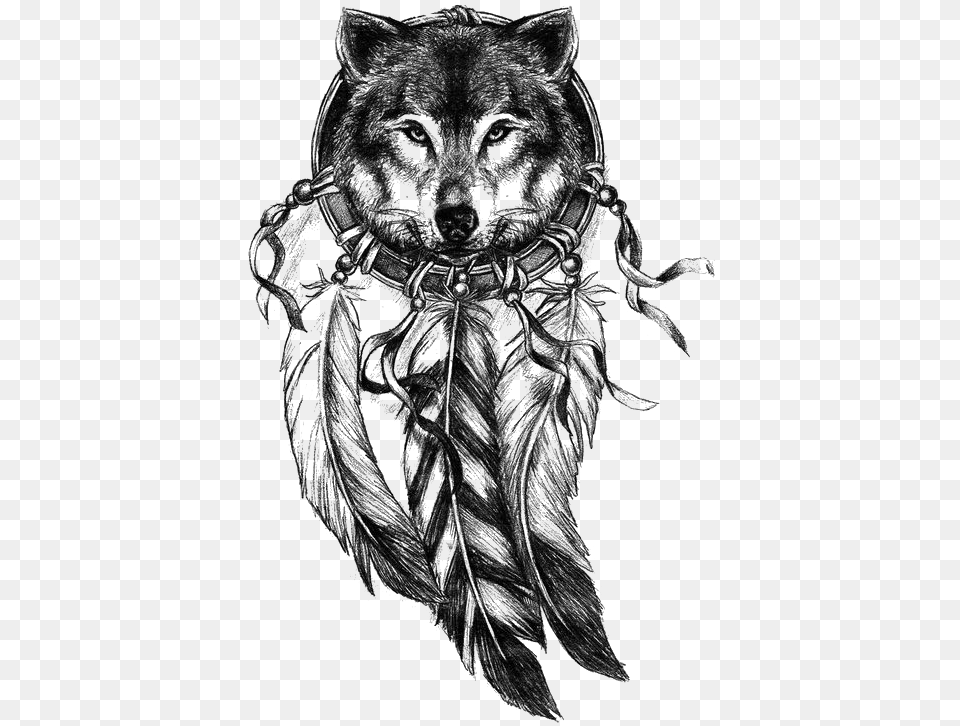 Vector Royalty Library Gray Wolf Dreamcatcher Tatuajes De Lobos, Art, Animal, Drawing, Mammal Free Png
