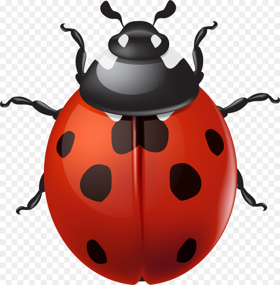 Vector Royalty Stock Ladybird Cliparts Typegoodies Free Transparent Png
