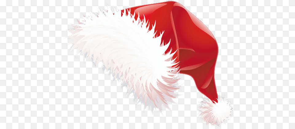 Vector Santa Hat, Clothing, Animal, Bird, Accessories Png