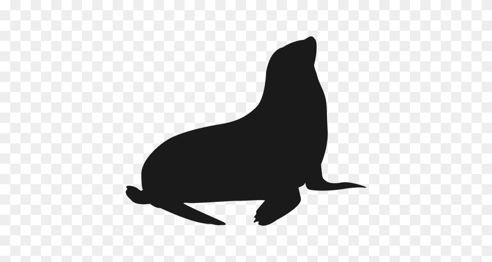 Vector Seal Silhouette Huge Freebie Download For Powerpoint, Animal, Mammal, Sea Life, Sea Lion Free Transparent Png