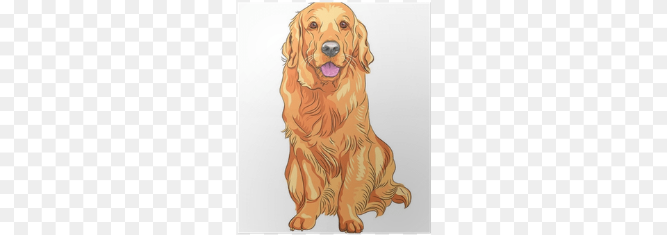 Vector Sketch Red Gun Dog Breed Golden Retriever Poster Golden Retriever Cartoon Drawing, Animal, Canine, Golden Retriever, Mammal Free Png