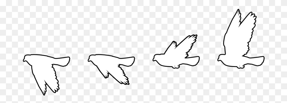 Vector Sketching Bird Flying Bird Silhouette White, Animal Free Png