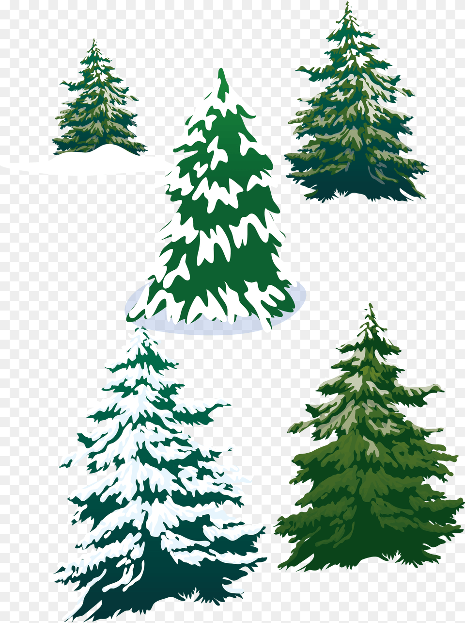 Vector Snowy Pine Trees Fir, Plant, Tree, Christmas Free Png Download