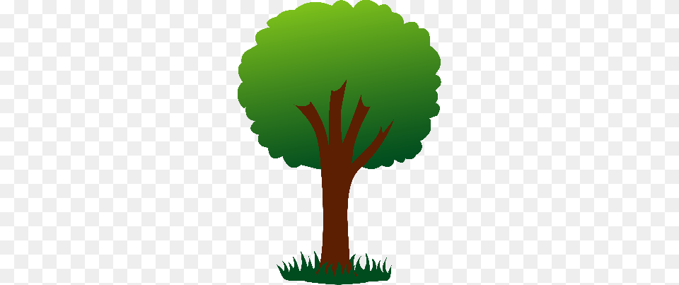 Vector Softball Cliparts, Plant, Tree, Vegetation, Person Free Transparent Png
